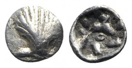 Southern Apulia, Tarentum, c. 325-280 BC. AR Hemilitron (5mm, 0.24g, 12h). Shell. R/ Dolphin leaping r. Vlasto 1548ff.; HNItaly 980. Near VF