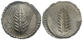 Southern Lucania, Metapontion, c. 540-510 BC. AR Stater (28.5mm, 8.24g, 12h). Barley ear of eight grains. R/ Incuse barley ear of eight grains. Noe 12...