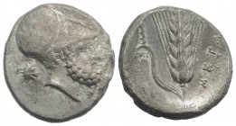 Southern Lucania, Metapontion, c. 340-330 BC. AR Stater (20mm, 7.71g, 2h). Helmeted head of Leukippos r.; to l., lion head r. R/ Barley ear with leaf ...