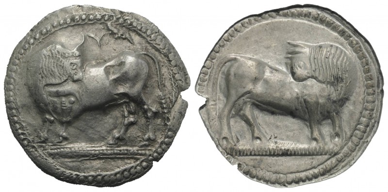 Southern Lucania, Sybaris, c. 550-510 BC. AR Stater (29mm, 8.13g, 12h). Bull sta...