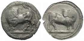 Southern Lucania, Sybaris, c. 550-510 BC. AR Stater (29mm, 8.13g, 12h). Bull standing l. on dotted exergual line, looking back. R/ Incuse bull standin...