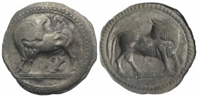 Southern Lucania, Sybaris, c. 550-510 BC. AR Stater (29mm, 8.07g, 12h). Bull standing l. on dotted exergual line, looking back. R/ Incuse bull standin...