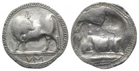 Southern Lucania, Sybaris, c. 550-510 BC. AR Stater (30mm, 7.91g, 12h). Bull standing l. on dotted exergual line, looking back. R/ Incuse bull standin...
