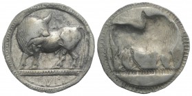Southern Lucania, Sybaris, c. 550-510 BC. AR Stater (29mm, 8.14g, 12h). Bull standing l. on dotted exergual line, looking back. R/ Incuse bull standin...