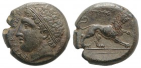 Sicily, Syracuse. Agathokles (317-289 BC). Æ Litra (20mm, 8.69g, 6h), c. 308/7. Diademed head of l.; corn-ear behind. R/ Lion standing r., raising for...