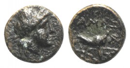 Pontos, Amaseia(?), late 2nd century BC. Æ (7mm, 0.68g, 9h). Laureate head of Apollo r. R/ Lion standing r.; AMAΣ above, star below. RG -; SNG BM Blac...