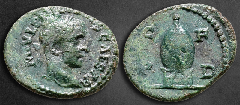 Thrace. Deultum. Philip II, as Caesar AD 244-246. 
Bronze Æ

18 mm, 2,76 g
...
