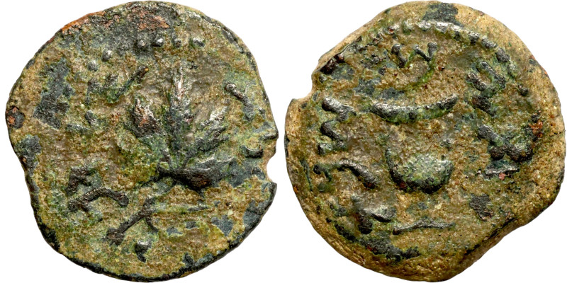 Judaean coin

18mm 3,75g