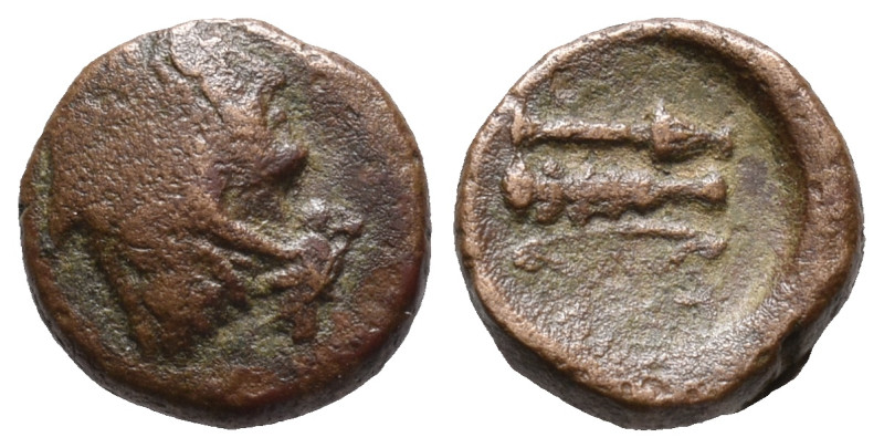 Southern Lucania, Herakleia(?), c. 280-150 BC. Æ (11mm, 1.30g). Head of Herakles...