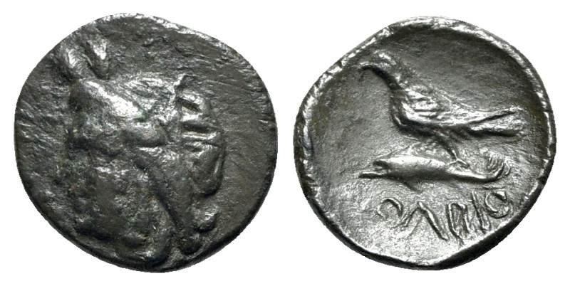 Skythia, Olbia, c. 350-330 BC. Æ (13mm, 1.14g, 12h). Wreathed head of Demeter l....