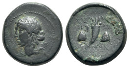 Mysia, Adramytion, c. 2nd century BC. Æ (21mm, 10.03g, 12h). Laureate head of Apollo l. R/ Cornucopia between piloi of the Dioskouroi surmounted by st...