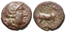 Aeolis, Aigai, 4th-3rd centuries BC. Æ (16mm, 4.17g). Laureate head of Apollo r. R/ Goat standing r. SNG Arikanturk 41-5. Fine - Good Fine