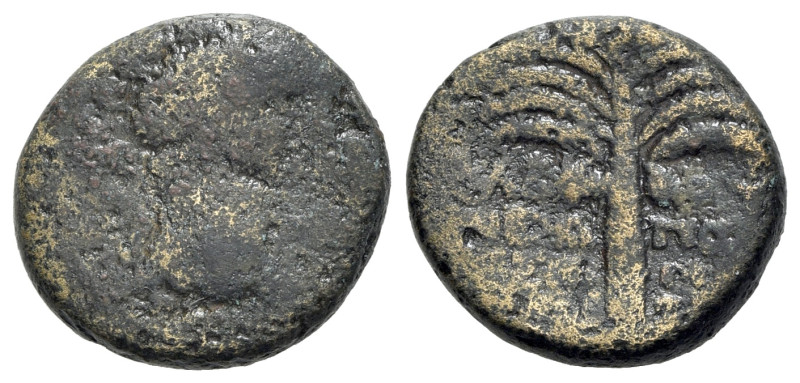 Domitian (81-96). Samaria, Neapolis. Æ (20mm, 7.57g, 6h), year 11 (AD 82/3). Lau...