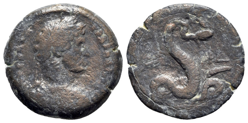 Hadrian (117-138). Egypt, Alexandria. Æ Diobol (24mm, 7.94g, 11h), year 14 (AD 1...