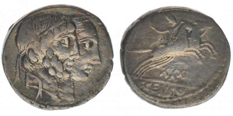 ROM Republik C. Censorinus 88 BC

Denar
Numa Pompilius und Ancus Marcius nach re...