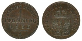 PREUSSEN Friedrich Wilhelm IV. 1840-1861
1 Pfennig 1855 A
AKS 92 1,50 Gramm vz+