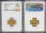 古代 カルタゴ 紀元前350-270年 ゾイジターナ エルステーター貨 NGC Ch VF Strike:5/5 Surface:3/5 (3820035-003), Gold, 7.44g, obv Tanit rv horse stg, 表面はカルタゴの代表的な女神タニト、裏面は有名な馬のモチー...