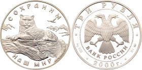 Russian Federation 3 Roubles 2000 ММД