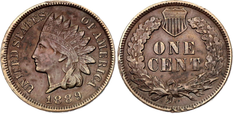 United States 1 Cent 1889

KM# 90a, Schön# 117a, N# 2356; Bronze; "Indian Head...