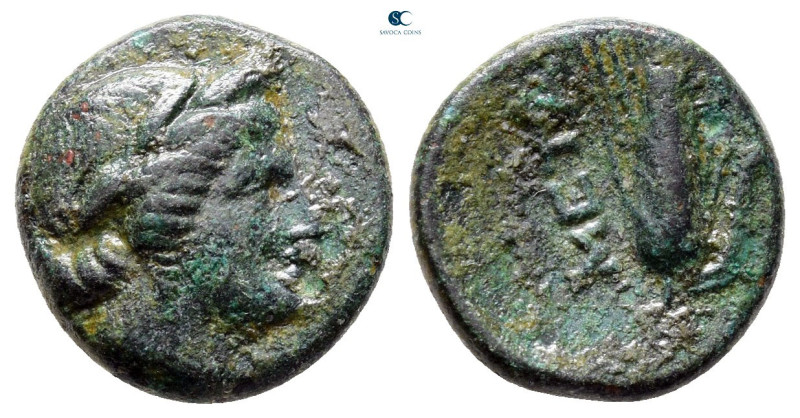 Lucania. Metapontion circa 350-250 BC. 
Bronze Æ

13 mm, 2,46 g



Nearly...