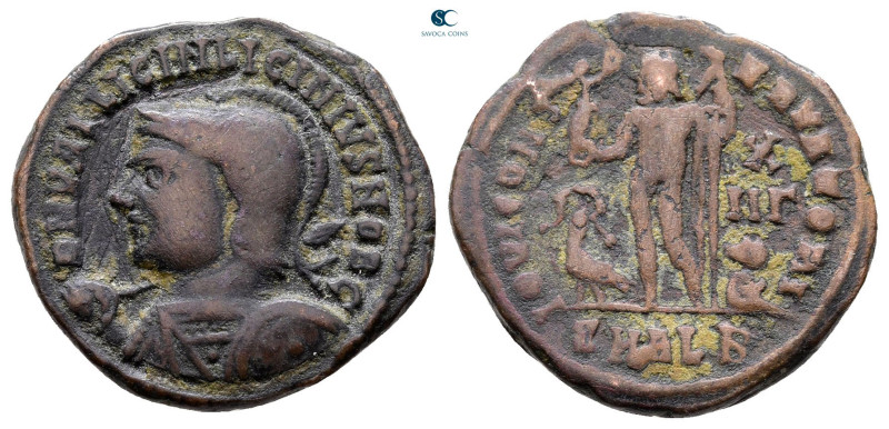 Licinius II, as Caesar AD 317-324. Alexandria
Follis Æ

20 mm, 3,60 g



...