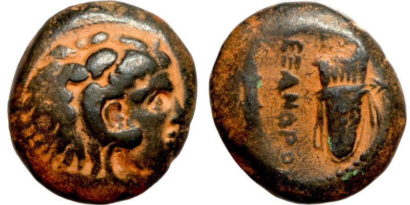 Seleucis and Pieria,c. 1st -4century BC. Æ Bronze Greek coin

19mm 8,33g

Ar...