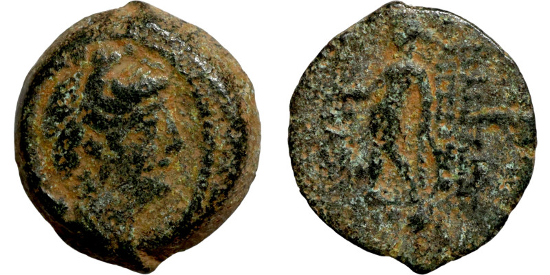 Seleucis and Pieria,c. 1st -4century BC. Æ Bronze Greek coin

15mm 2,95g