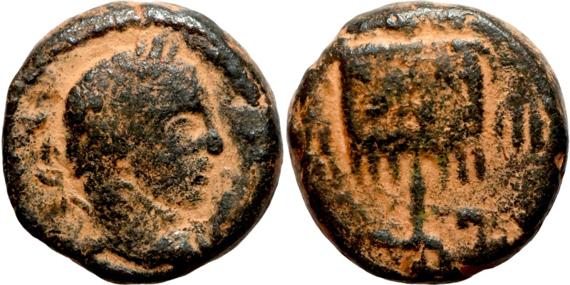 MESOPOTAMIA. Rhesaena. Caracalla.(198-217).Ae.

14mm 3,67g

Artificial sand ...