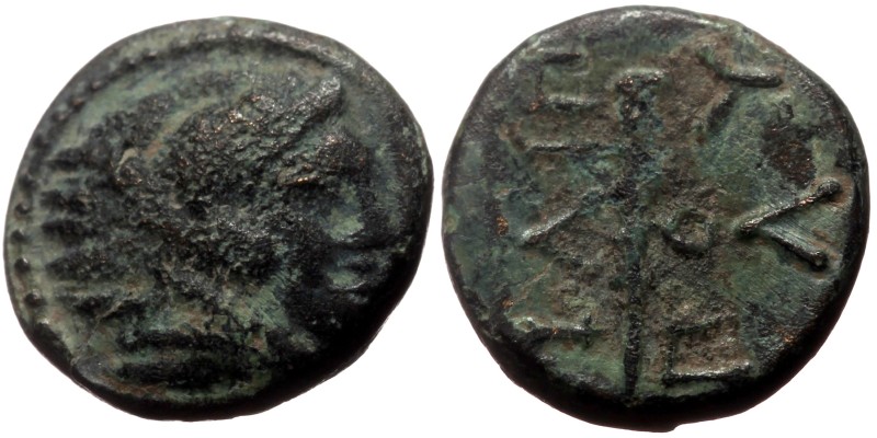*Just 2 specimens recorded by acsearch*
Kings of Macedon, Philip II (359-336 BC...