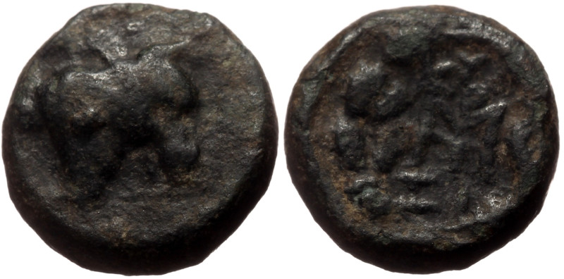 Mysia, Kyzikos AE (Bronze, 2.41g, 11mm) 2nd-1st centuries BC 
Obv: Bull's head r...