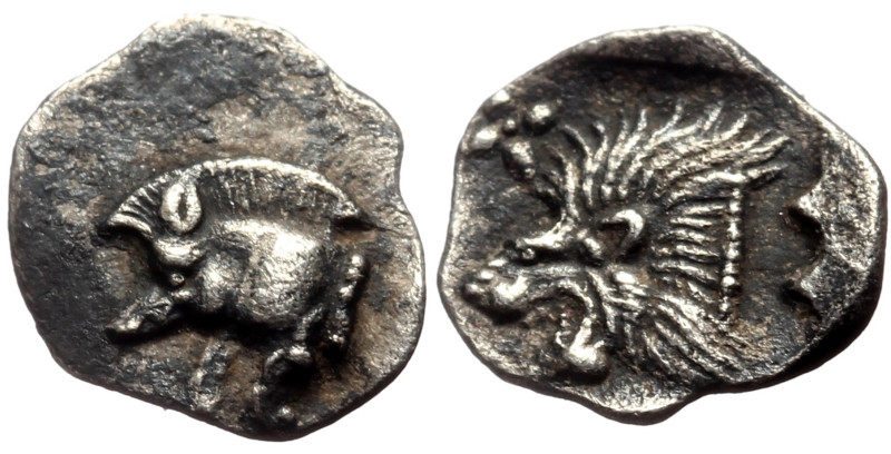 Mysia, Kyzikos AR Hemiobol (Silver, 0.35g, 10mm) ca 450-400 BC. 
Obv: Forepart o...