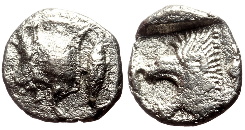 Mysia, Kyzikos AR Hemiobol (Silver, 0.48g, 8mm) ca 525-475 BC.
Obv: Forepart of...