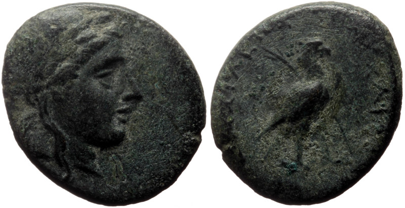 Seleukid Kings of Syria, Sardeis AE (Bronze, 4.90g, 20mm) Achaios (220-214 BC).
...