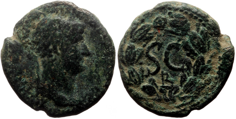 Syria, Antioch AE (Bronze, 5.45g, 20mm) Hadrian (117-138) Issue: Chalkous?
Obv: ...