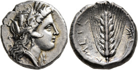 LUCANIA. Metapontion. Circa 330-290 BC. Didrachm or Nomos (Silver, 20 mm, 7.79 g, 3 h). Head of Demeter to right, wearing wreath of grain ears, triple...