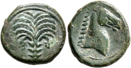 CARTHAGE. Circa 340-320 BC. AE (Bronze, 18 mm, 4.68 g, 4 h), uncertain mint in Sicily. Palm tree with two date clusters. Rev. Head of a horse to right...