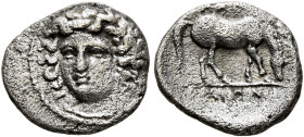 THESSALY. Larissa. Circa 356-342 BC. Obol (Silver, 11 mm, 0.93 g, 6 h). Head of the nymph Larissa facing slightly to left, wearing ampyx, pendant earr...