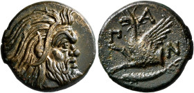 CIMMERIAN BOSPOROS. Pantikapaion. Circa 310-304/3 BC. AE (Bronze, 22 mm, 6.80 g, 12 h). Bearded head of a Satyr to right. Rev. Π-A-N Forepart of a gri...