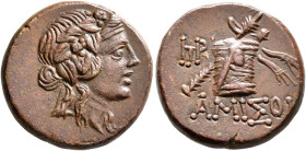 PONTOS. Amisos. Time of Mithradates VI Eupator, circa 85-65 BC. AE (Orichalcum, 22 mm, 8.46 g, 11 h). Head of Dionysos to right, wearing wreath of ivy...