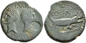 Augustus, with Agrippa, 27 BC-AD 14. As (Bronze, 28 mm, 14.12 g, 1 h), a contemporary imitation, irregular mint, after 10 BC. IMP / DIVI F Heads of Ag...