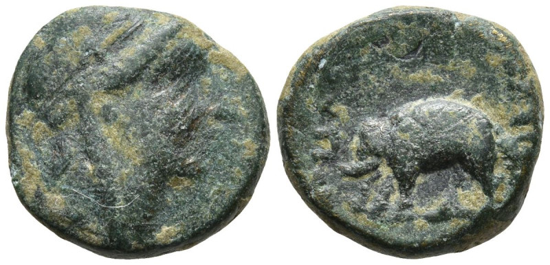 SELEUKID KINGS OF SYRIA. Antiochos III ‘the Great’ (222-187 BC). Sardes
AE Bron...