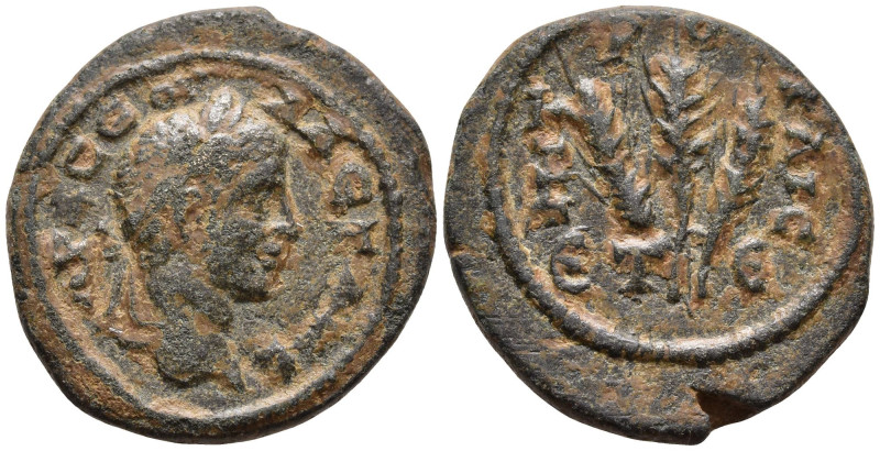 CAPPADOCIA. Caesarea. Severus Alexander (222-235 AD)
AE Bronze (21mm 6.1g)
Obv...