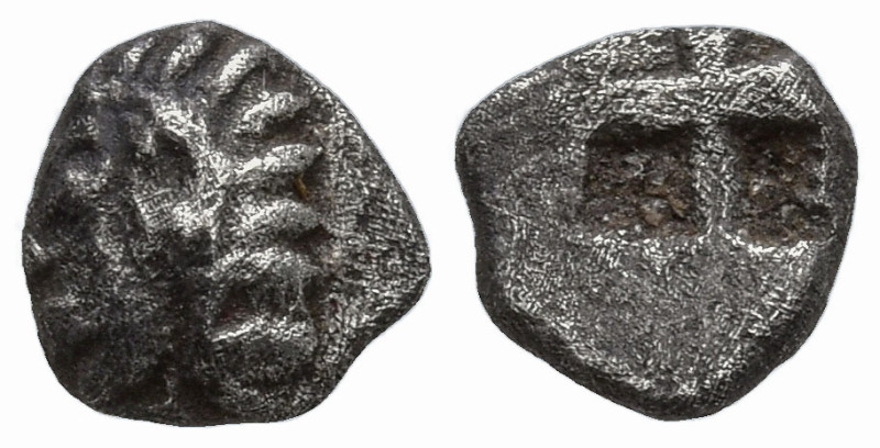 IONIA. Kolophon. (Circa 530/25-500 BC).
AR Tetartemorion (5.1mm 0.15g).
Obv: A...