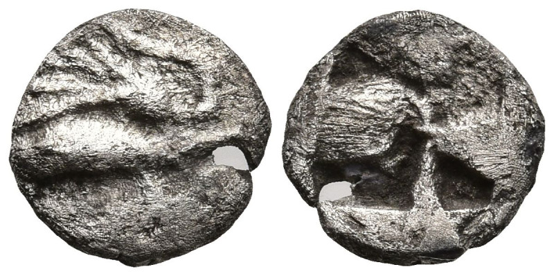 MYSIA. Kyzikos. (Circa 550-500 BC).
AR Hemiobol (7.8mm 0.31g)
Obv: Tunny right...