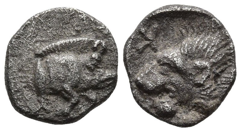 MYSIA. Kyzikos. (450-400 BC).
AR Hemiobol (7.1mm 0.34g)
Obv: Forepart of boar ...