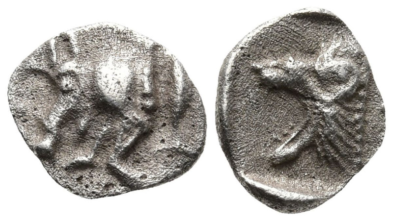 MYSIA. Kyzikos. (Circa 450-400 BC)
AR Hemiobol (0.22mm 7.4g)
Obv: Forepart of ...