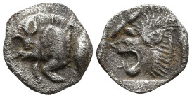 MYSIA. Kyzikos. (450-400 BC)
AR Hemiobol (8.1mm 0.35g)
Obv: Forepart of boar left; to right, tunny upward.
Rev: Head of roaring lion left; star to ...