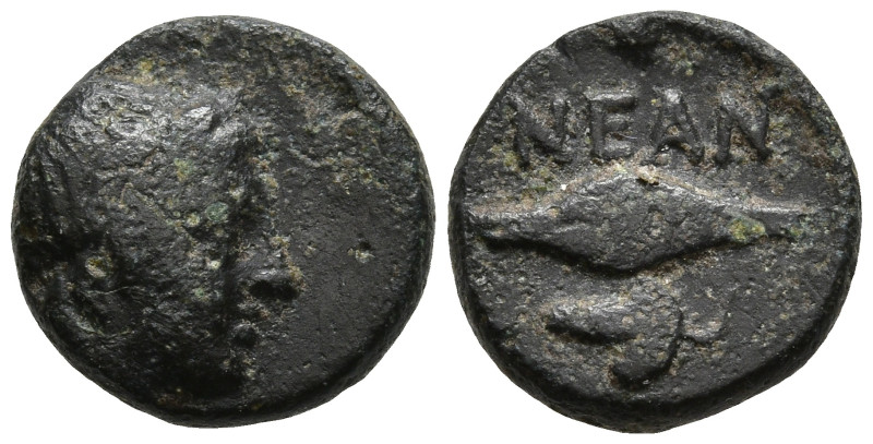 TROAS. Neandria. (4th century BC)
AE Bronze (10.4mm 1.32g)
Obv: Laureate head ...