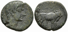 MACEDON. Philippi. Augustus (27 BC-14 AD).
AE Bronze (16.9mm 4.67g).
Obv: Bare head of Augustus to right.
Rev: Two founders driving yoke of oxen ri...