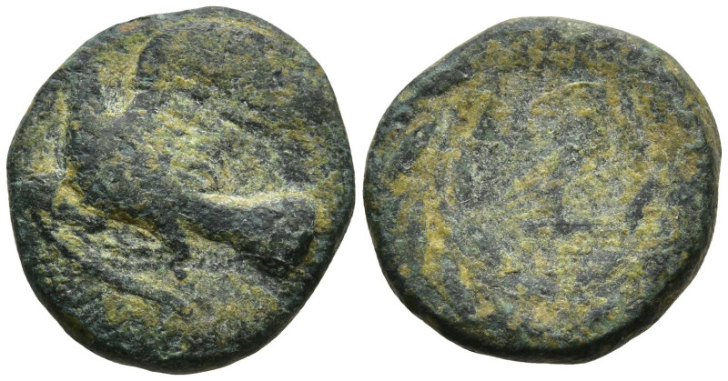 SIKYONIA. Sikyon. (Circa 330-310/05 BC)
AE Dichalkon (15mm 2.9g)
Obv: Dove fly...